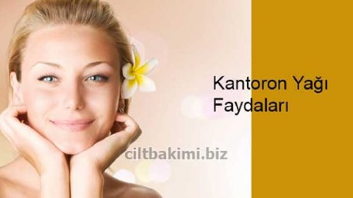 Kantaron Yağı Faydaları Sarı Kantaron Yağı