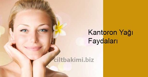 Kantaron Yağı Faydaları Sarı Kantaron Yağı